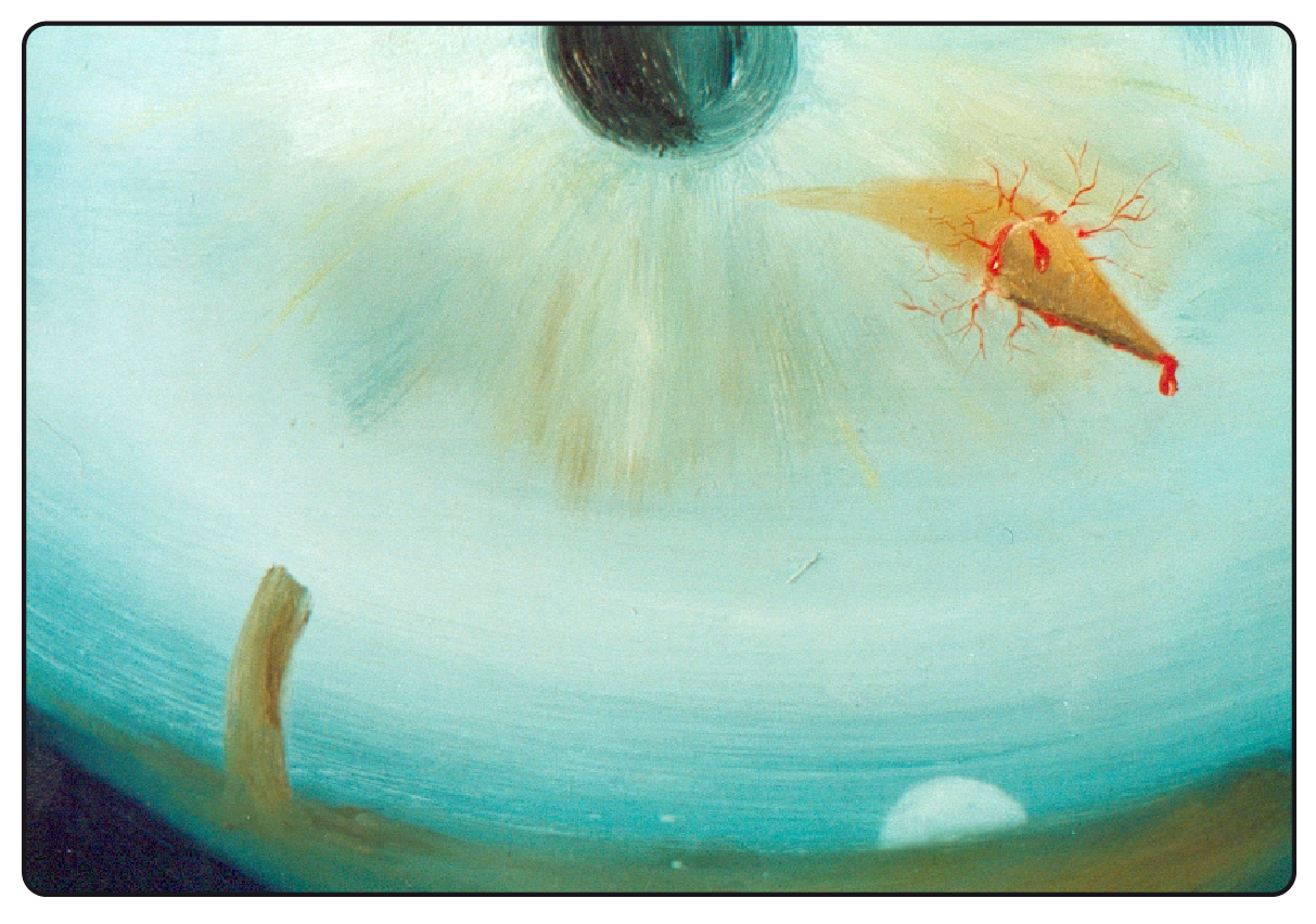 exposiciones pintura-11